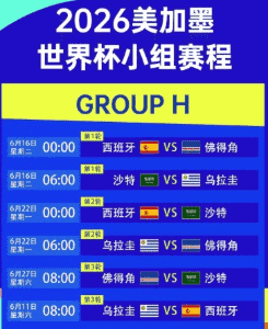 开云回放控制